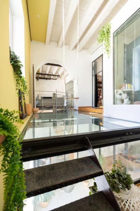 Le Loft Du Vieux-Port - St Victor Apartment Marseille Ngoại thất bức ảnh
